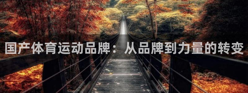 杏宇2平台