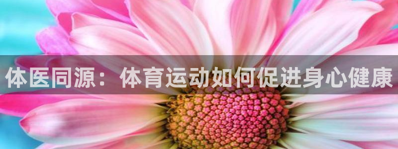 杏宇集团股票