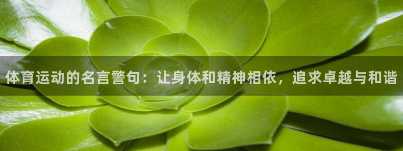 杏宇2注册