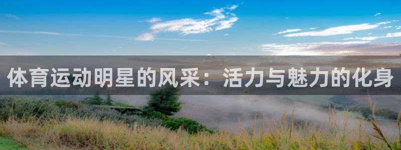 杏宇4平台