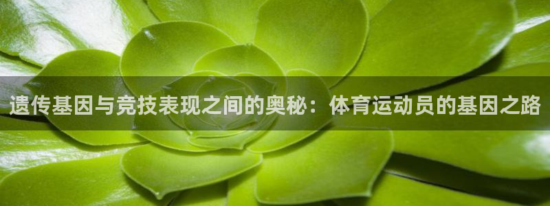 杏宇电子有限公司