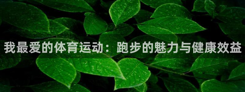 佛山市南海杏宇机电仪器有限公司