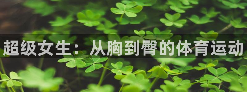 杏宇2代理注册
