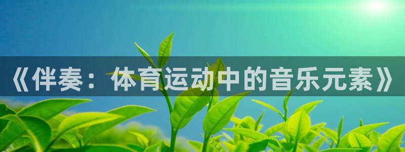 杏宇平台登录测速