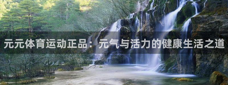杏宇5