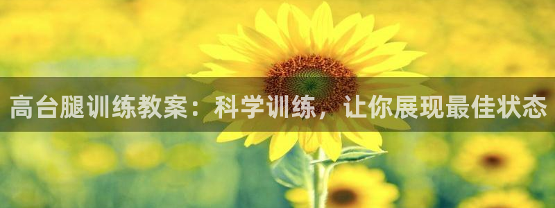 杏宇平台注册