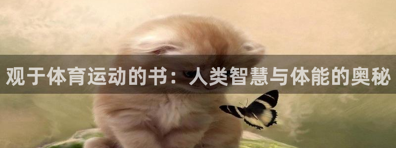 杏宇