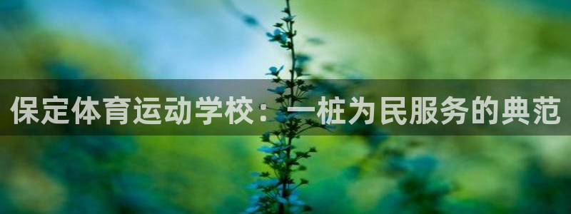 杏宇2登录