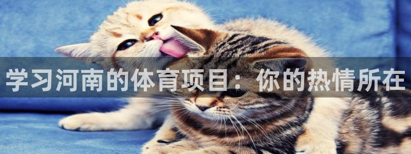 杏宇f凯捷注册