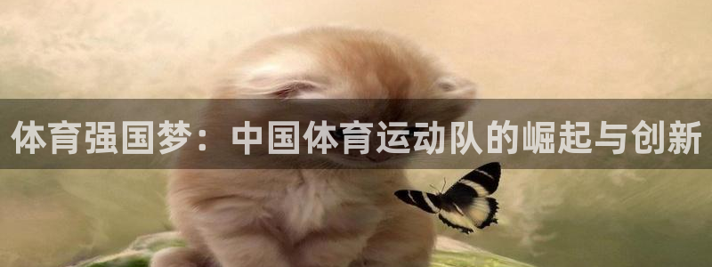 杏宇3代理
