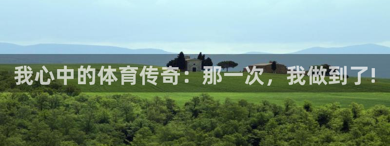 杏宇4