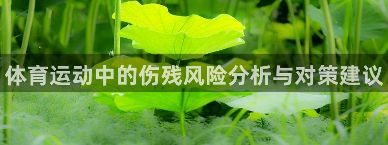 杏宇体育f开户