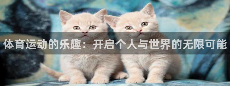 杏宇体育和杏耀是哪个公司的