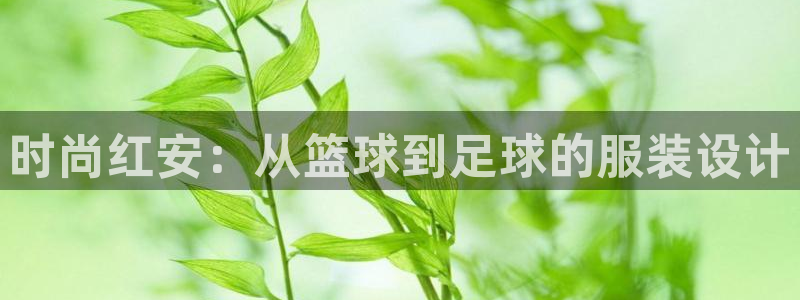 杏宇2体育登录入口