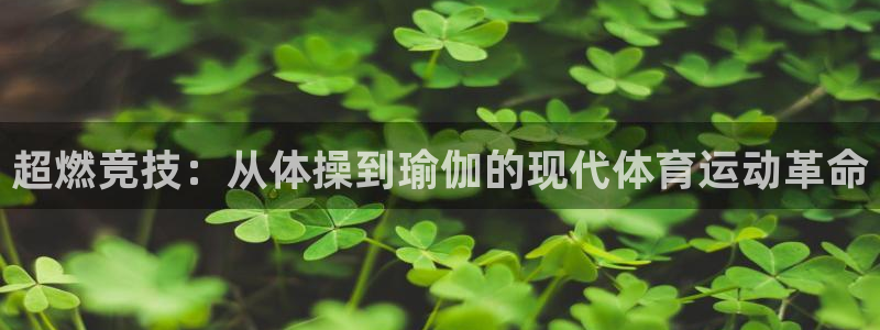杏宇体育热门赛事有哪些