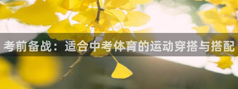 杏宇4平台