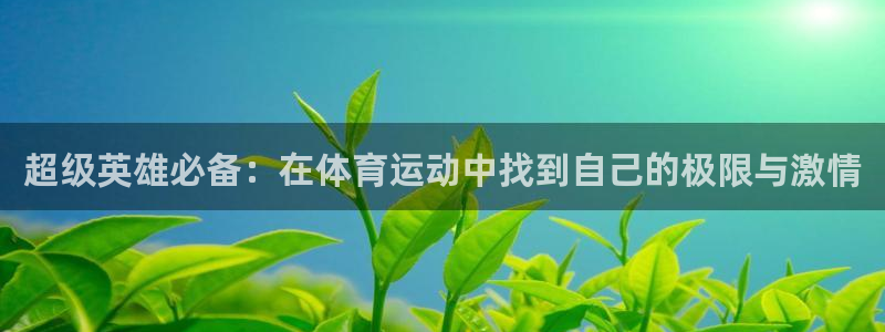 杏宇体育4