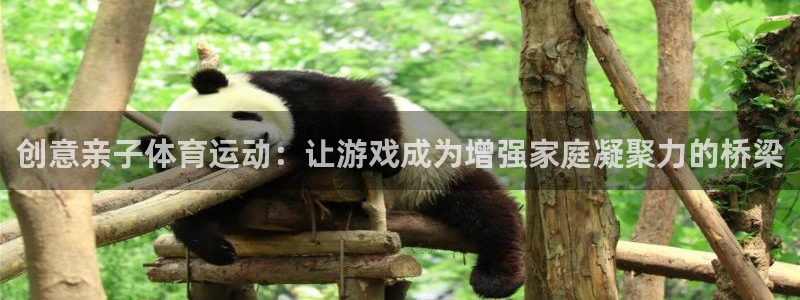 山西杏宇酒业有限公司