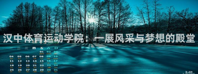 杏宇注册平台登录网址是多少