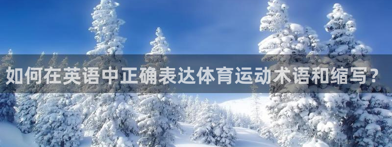 杏宇2平台注册