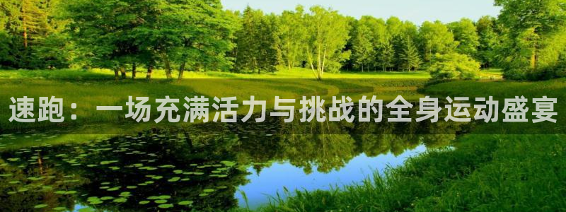 杏宇平台登录测速