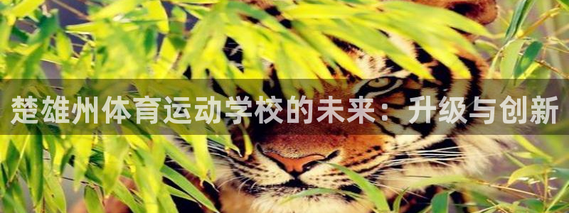 杏宇登录