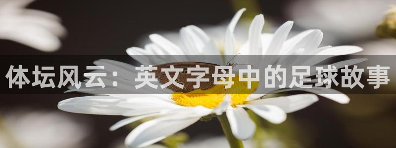 安徽京杏宇建材有限公司