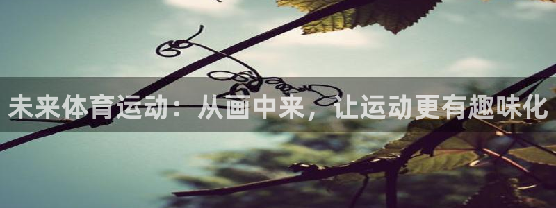 杏宇体育平台总代理