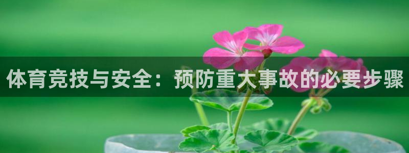杏宇体育官网登录