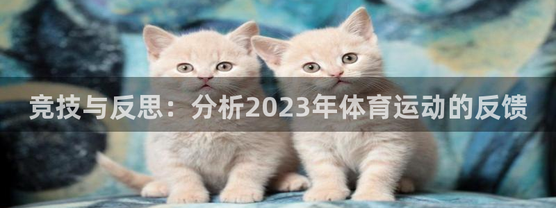成都杏宇电子有限公司