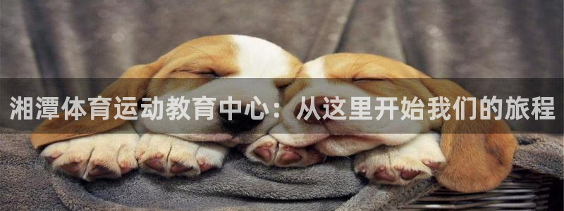 杏宇登录