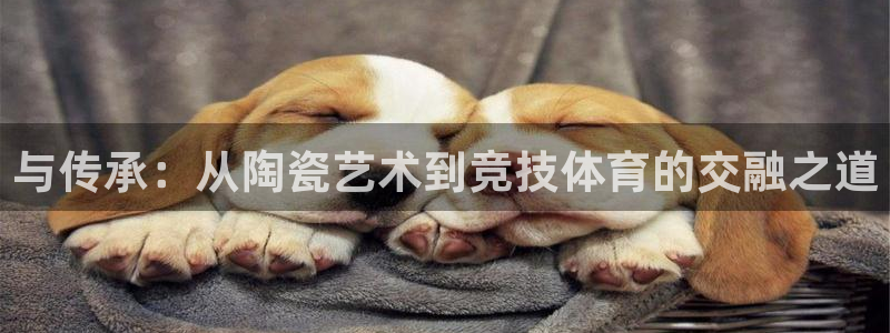 杏宇2平台登录