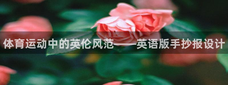 杏宇注册平台登录网址