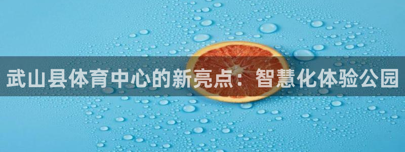 杏宇3平台登录注册