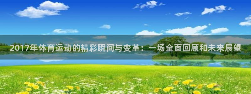 上海杏宇汽车电子有限公司