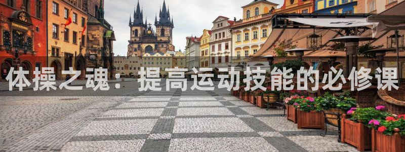 杏宇体育凯捷平台招商